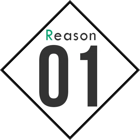 reason01