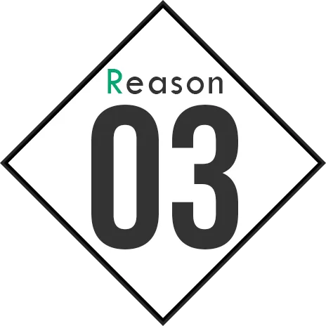 reason03